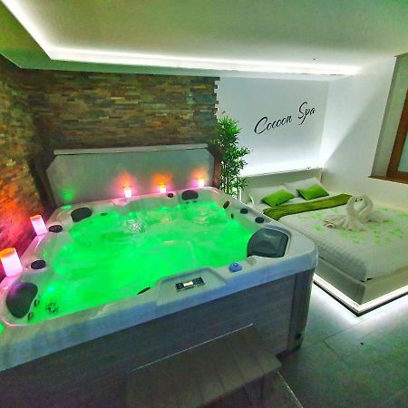 -GITE COCOON SPA-JACUZZI-JARDIN-PARKING Privé-CLIMATISATION Holtzwihr Extérieur photo