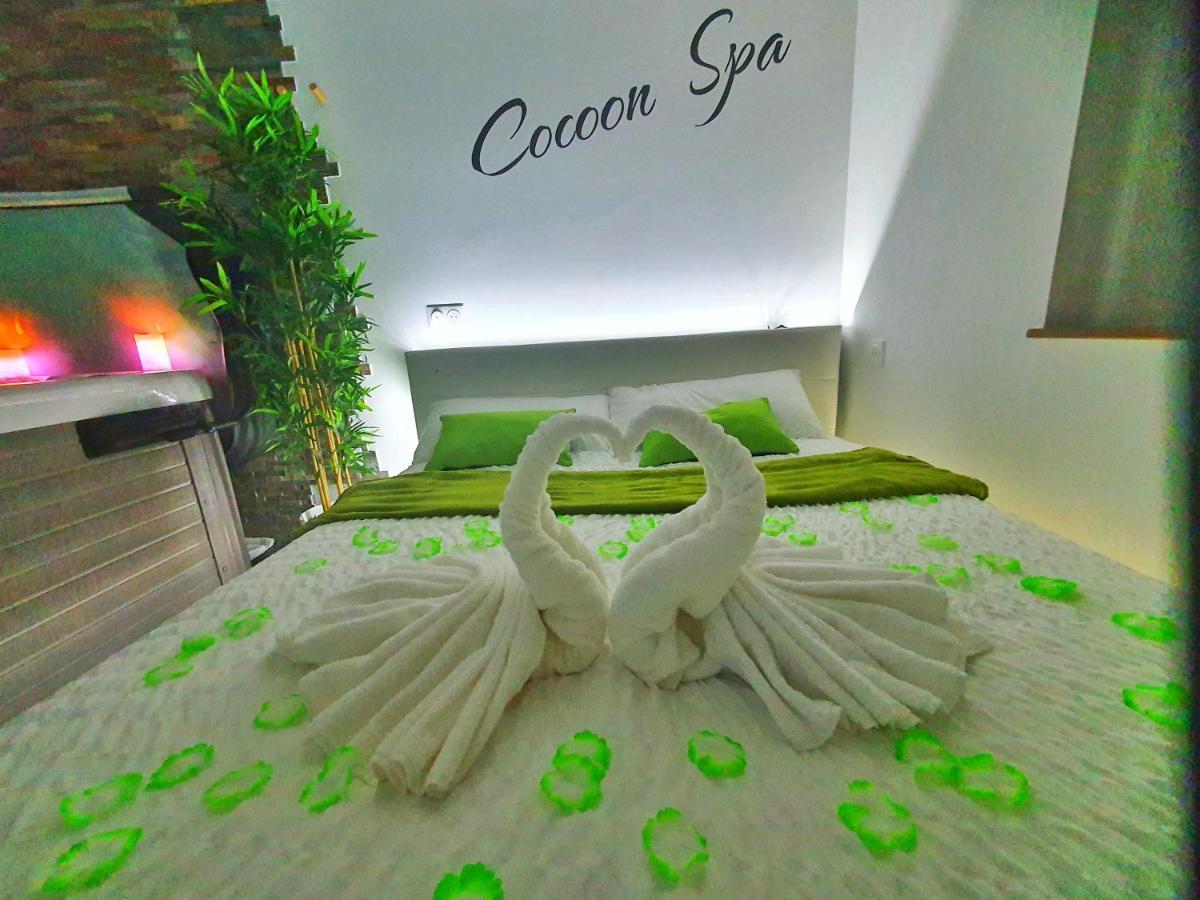 -GITE COCOON SPA-JACUZZI-JARDIN-PARKING Privé-CLIMATISATION Holtzwihr Extérieur photo